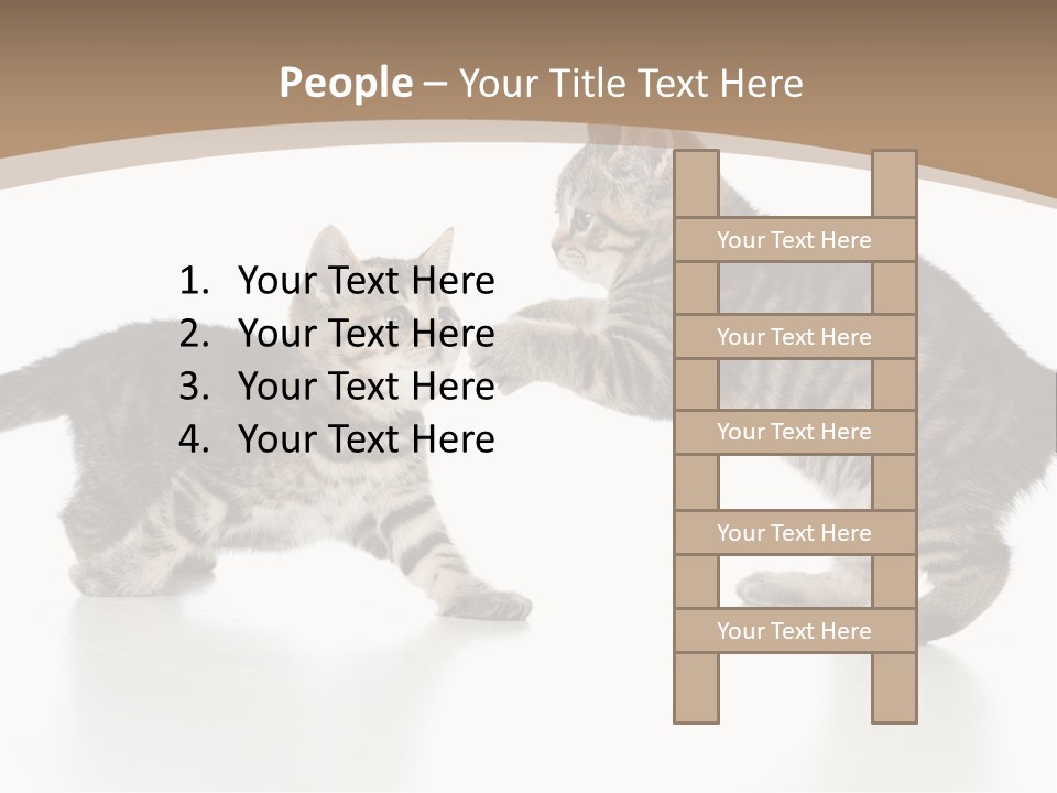 Pussy Postcard Front PowerPoint Template