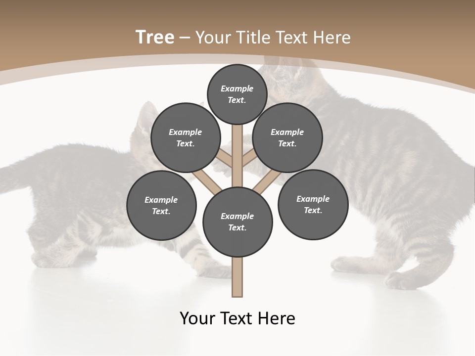 Pussy Postcard Front PowerPoint Template