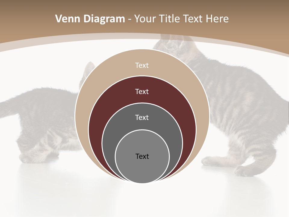 Pussy Postcard Front PowerPoint Template