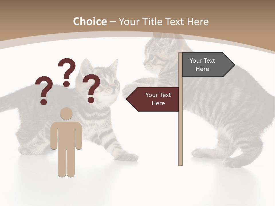 Pussy Postcard Front PowerPoint Template