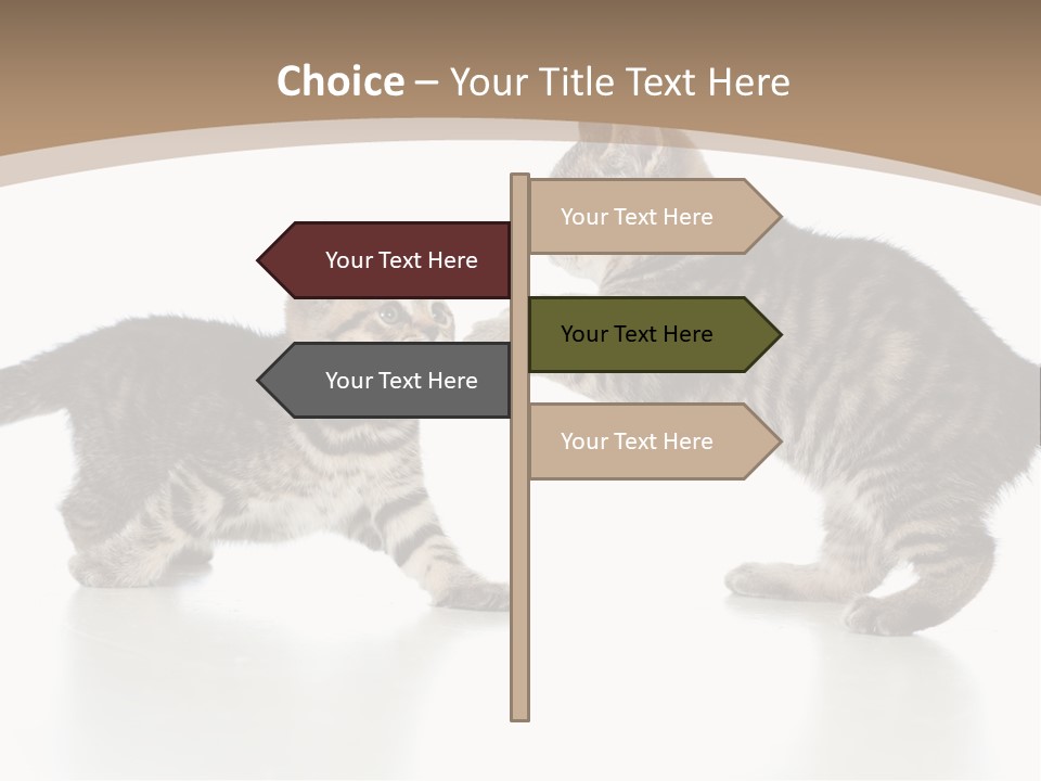 Pussy Postcard Front PowerPoint Template