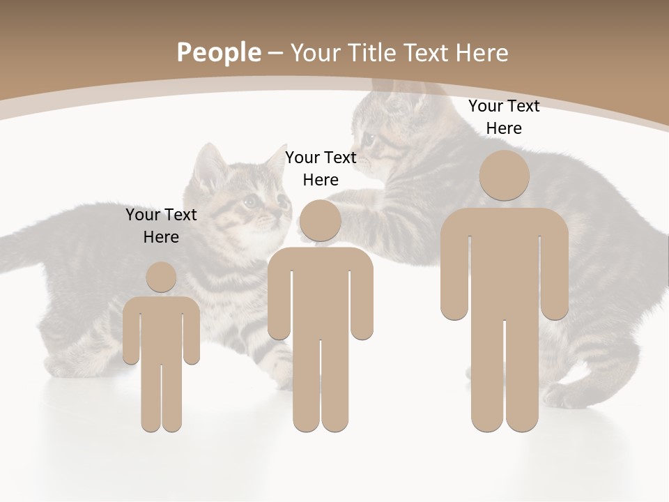 Pussy Postcard Front PowerPoint Template