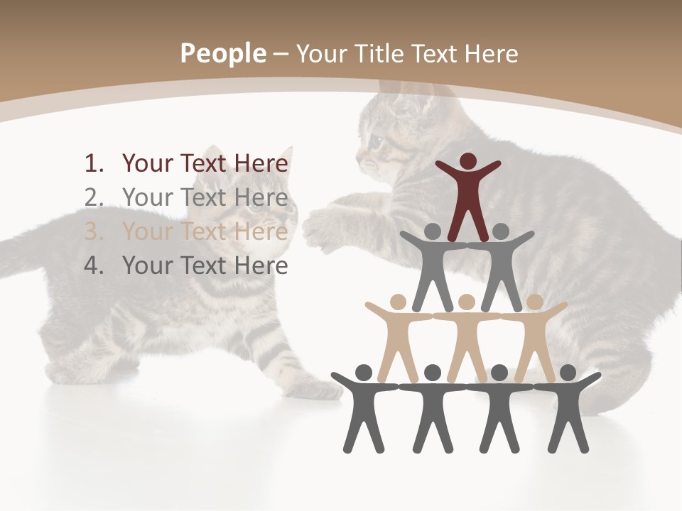 Pussy Postcard Front PowerPoint Template