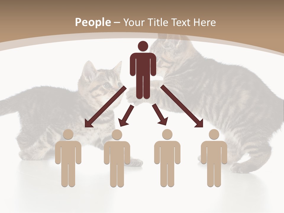 Pussy Postcard Front PowerPoint Template