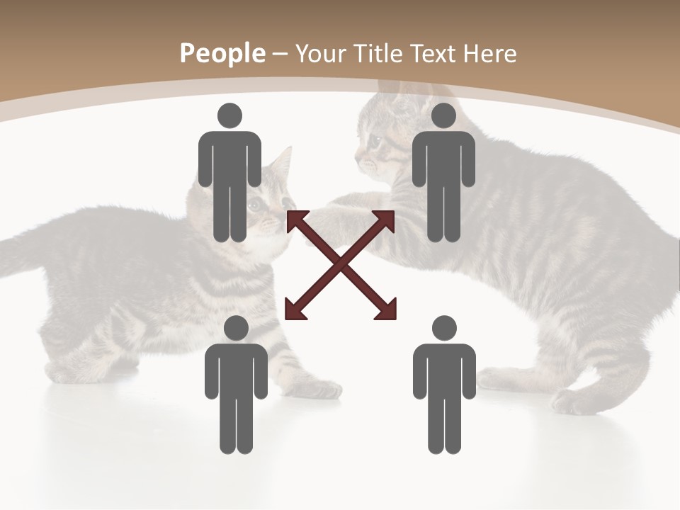 Pussy Postcard Front PowerPoint Template