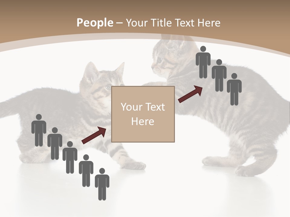 Pussy Postcard Front PowerPoint Template