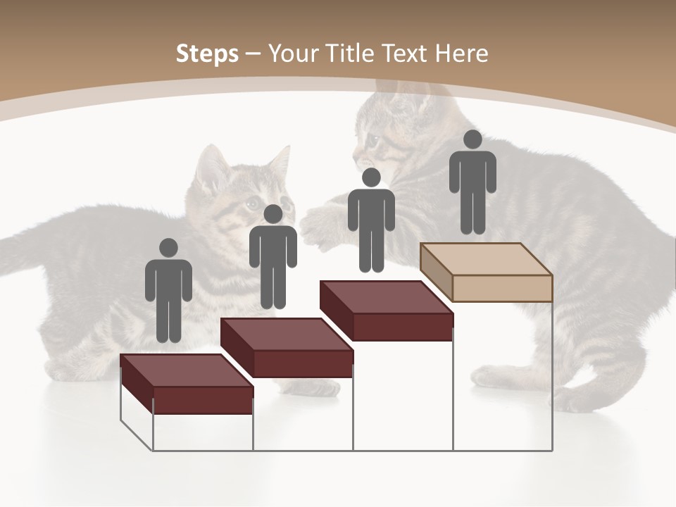 Pussy Postcard Front PowerPoint Template