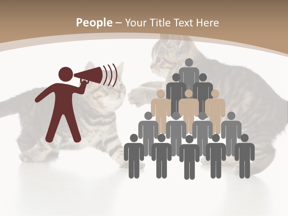 Pussy Postcard Front PowerPoint Template