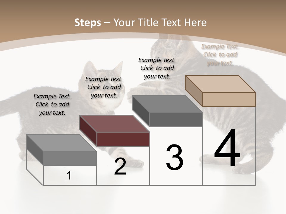 Pussy Postcard Front PowerPoint Template