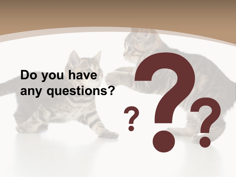 Pussy Postcard Front PowerPoint Template