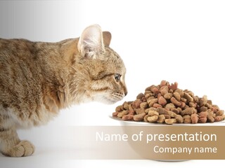Cat Fur Food PowerPoint Template