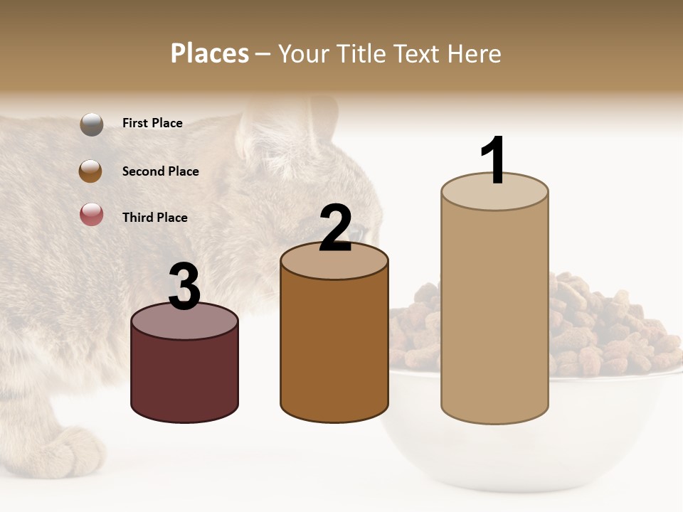 Cat Fur Food PowerPoint Template