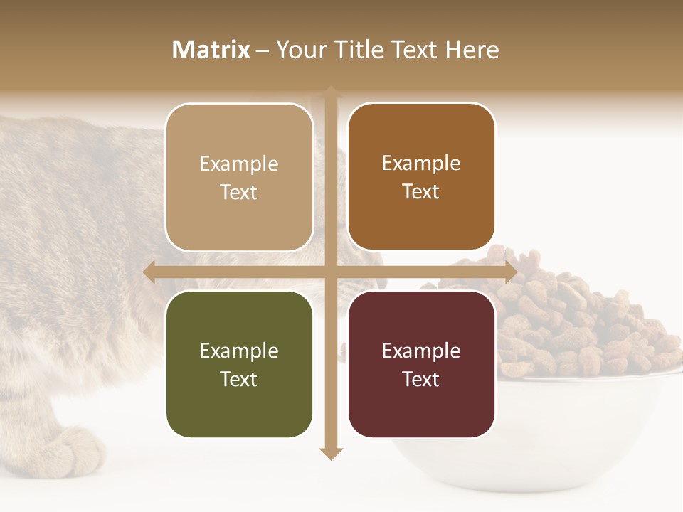 Cat Fur Food PowerPoint Template