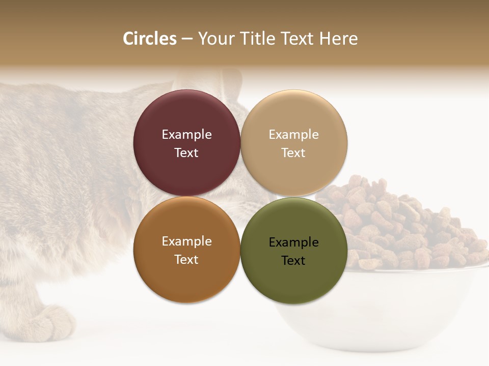 Cat Fur Food PowerPoint Template