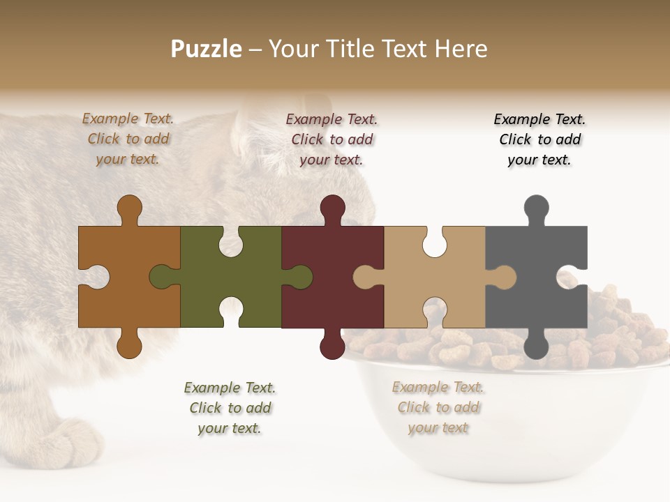 Cat Fur Food PowerPoint Template