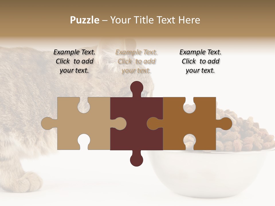 Cat Fur Food PowerPoint Template
