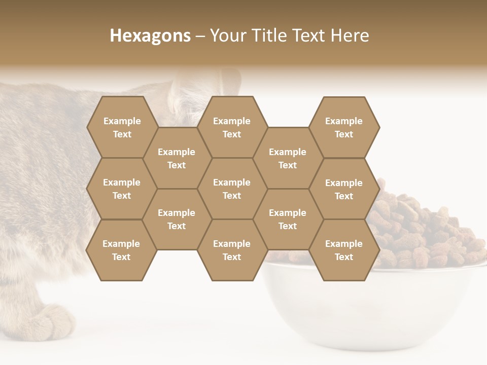 Cat Fur Food PowerPoint Template