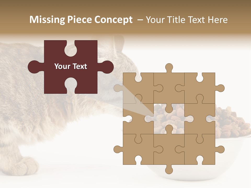 Cat Fur Food PowerPoint Template