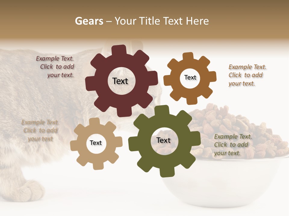 Cat Fur Food PowerPoint Template