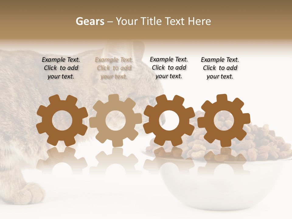 Cat Fur Food PowerPoint Template