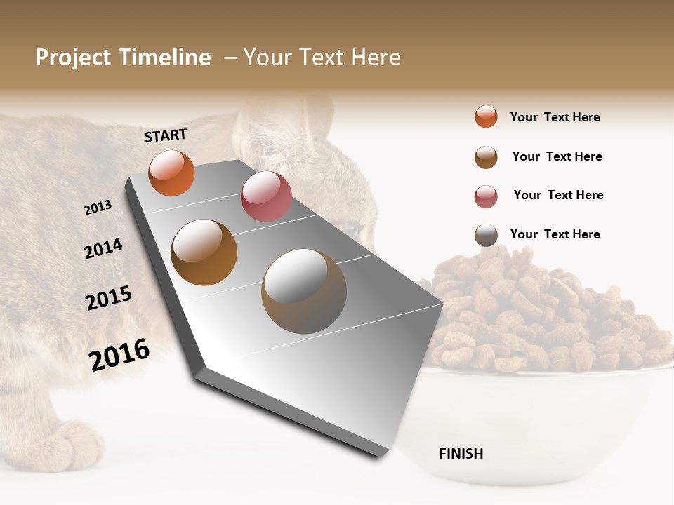 Cat Fur Food PowerPoint Template