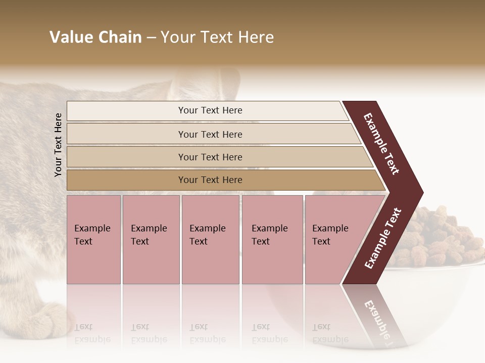 Cat Fur Food PowerPoint Template