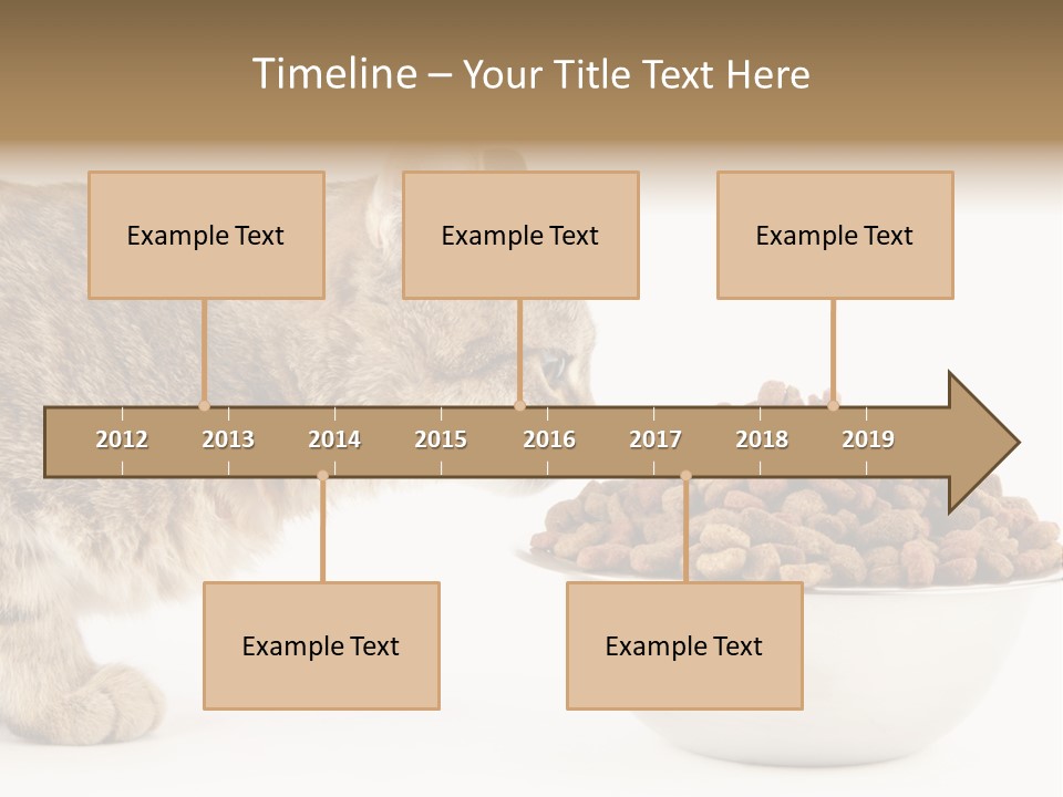 Cat Fur Food PowerPoint Template