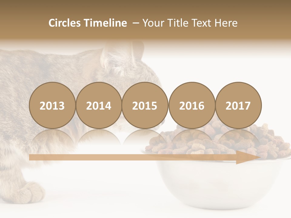 Cat Fur Food PowerPoint Template
