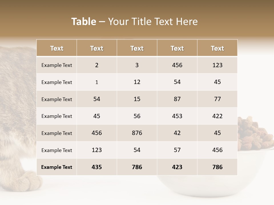 Cat Fur Food PowerPoint Template