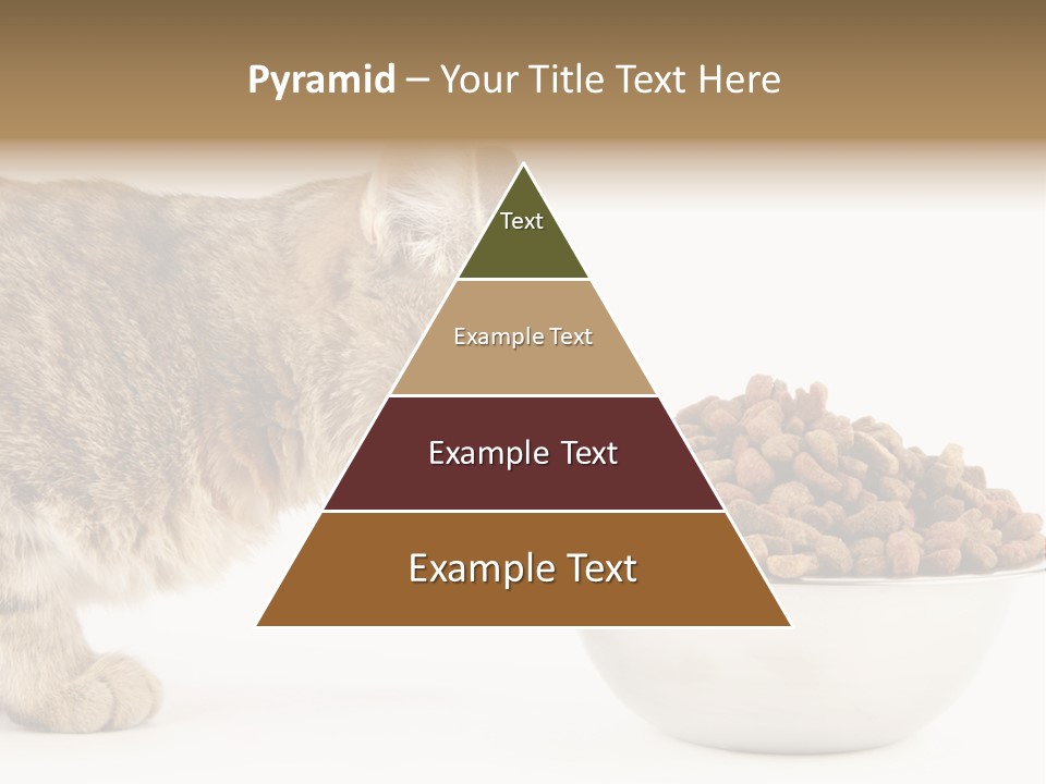 Cat Fur Food PowerPoint Template