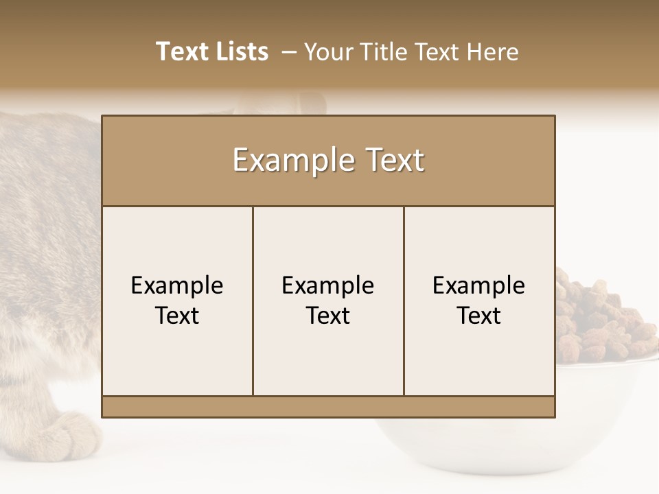Cat Fur Food PowerPoint Template