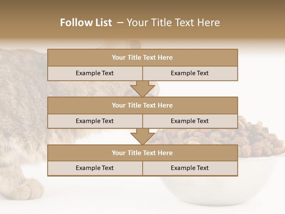 Cat Fur Food PowerPoint Template