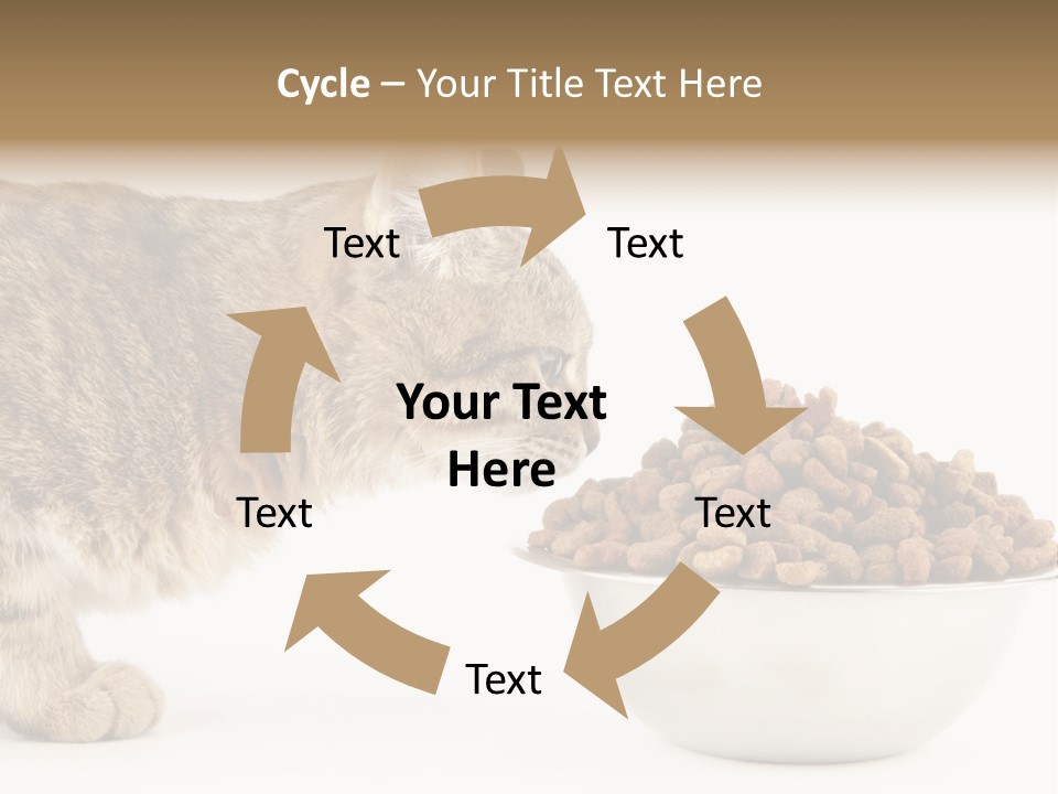 Cat Fur Food PowerPoint Template