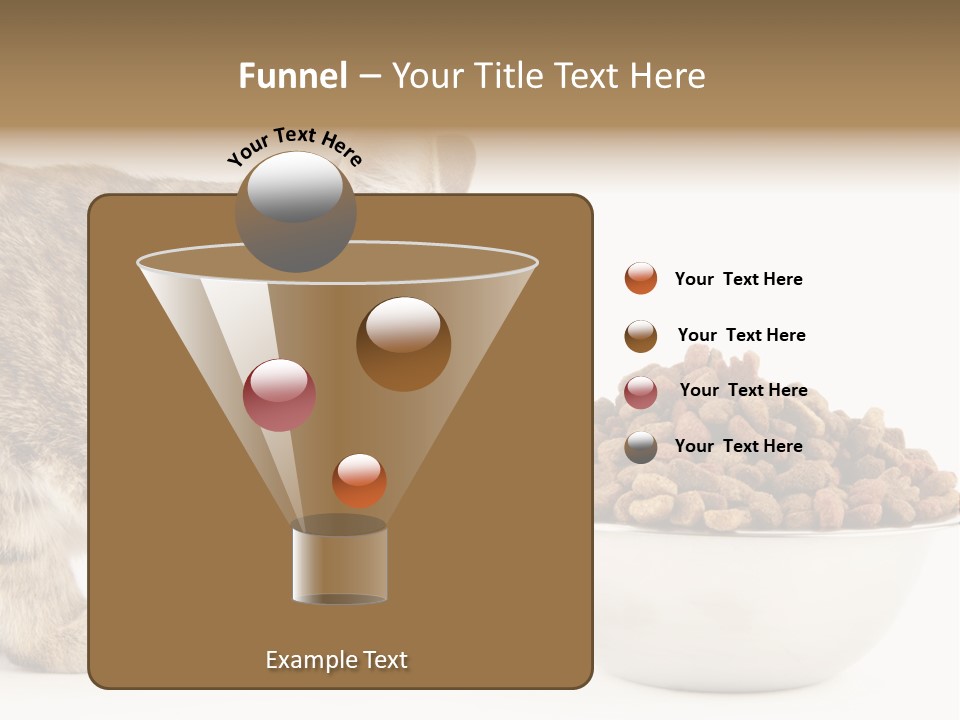 Cat Fur Food PowerPoint Template