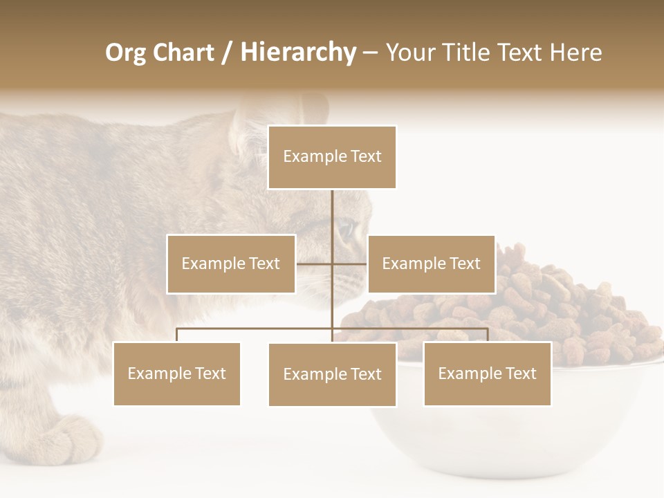 Cat Fur Food PowerPoint Template