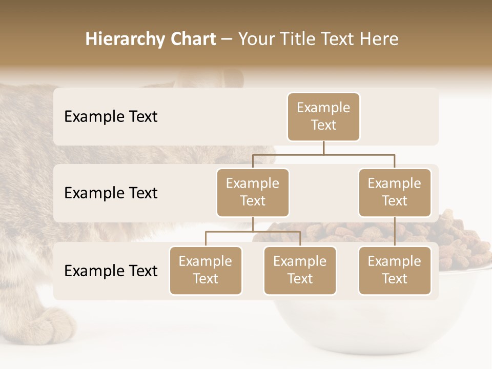 Cat Fur Food PowerPoint Template