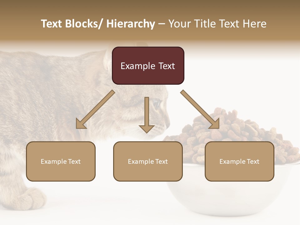 Cat Fur Food PowerPoint Template