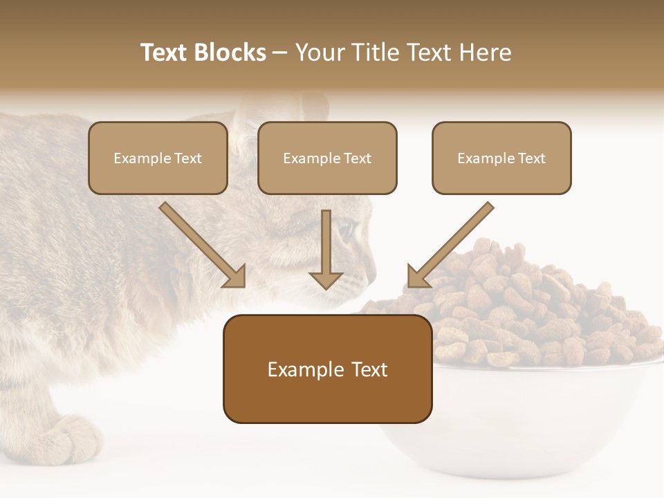 Cat Fur Food PowerPoint Template