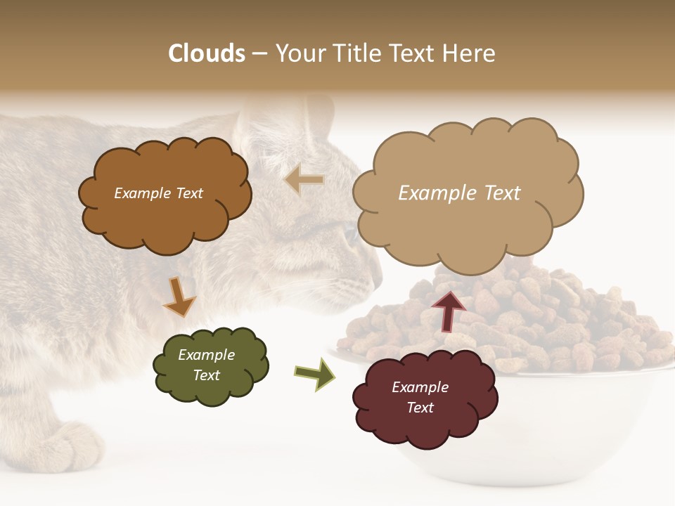 Cat Fur Food PowerPoint Template
