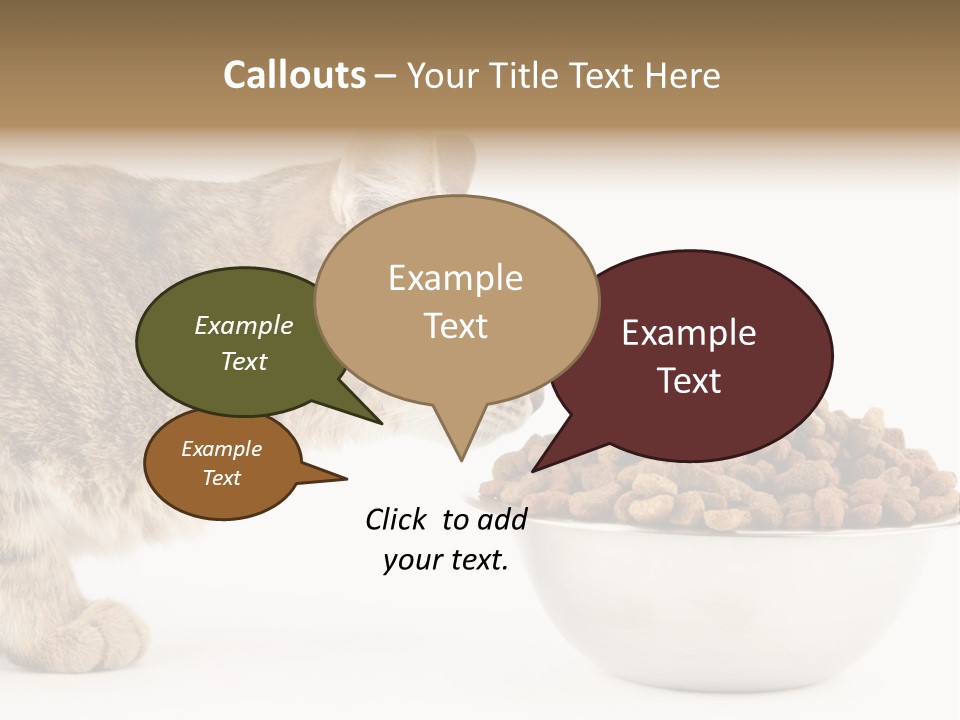 Cat Fur Food PowerPoint Template