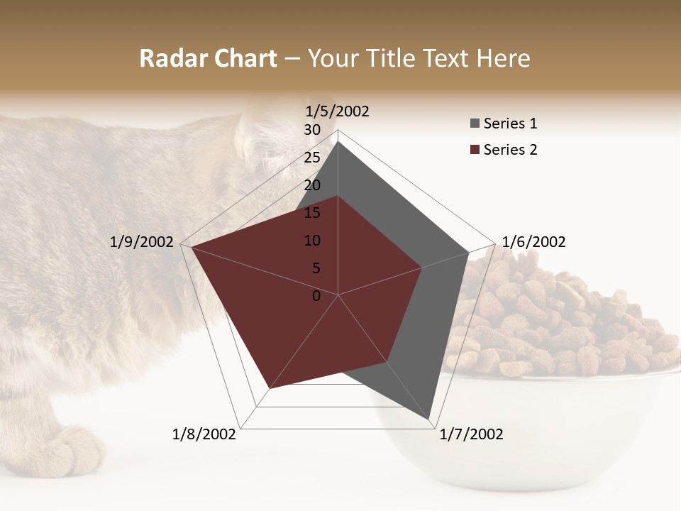 Cat Fur Food PowerPoint Template