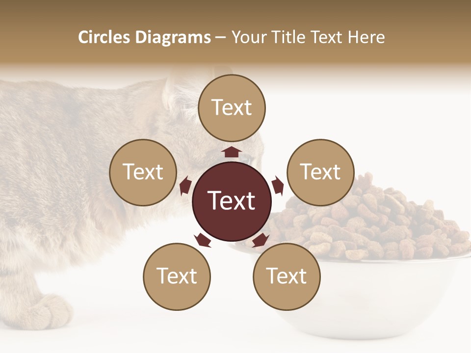 Cat Fur Food PowerPoint Template