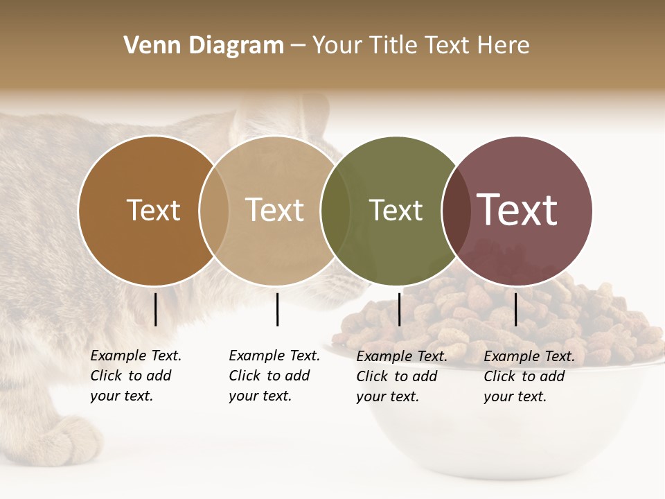 Cat Fur Food PowerPoint Template