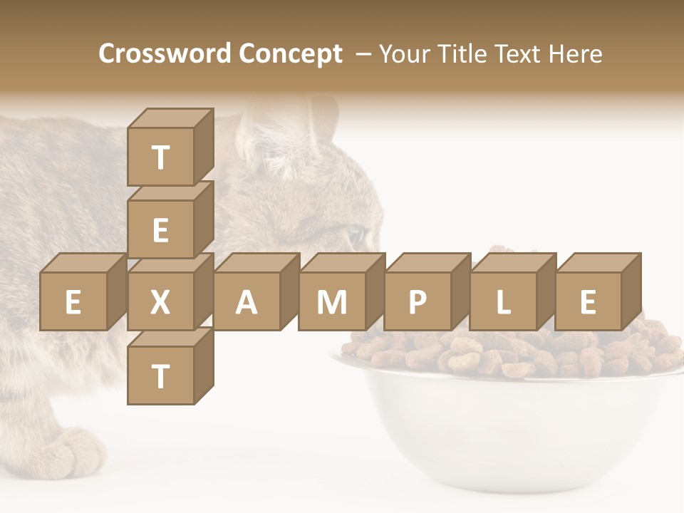 Cat Fur Food PowerPoint Template