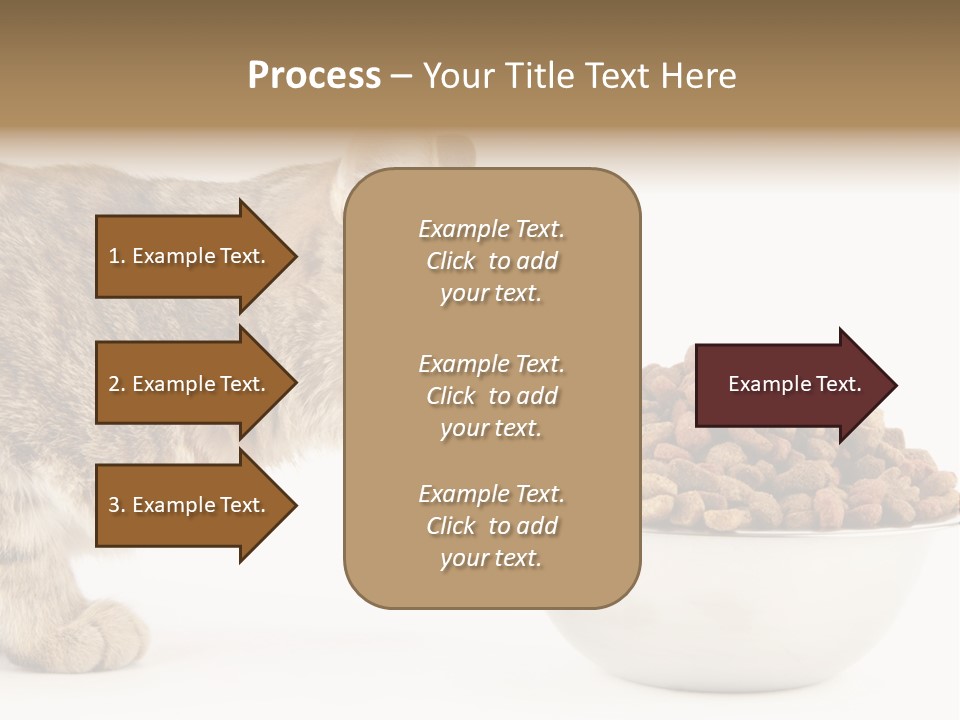 Cat Fur Food PowerPoint Template