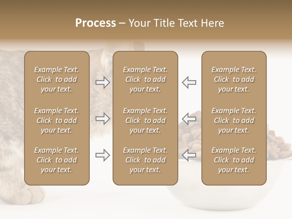 Cat Fur Food PowerPoint Template