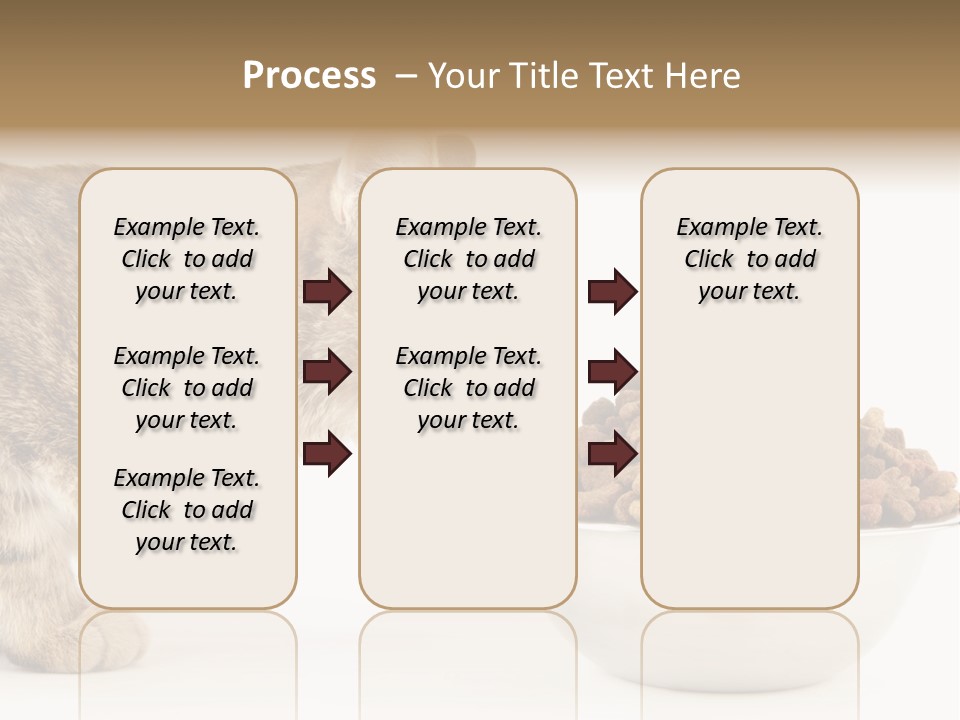 Cat Fur Food PowerPoint Template