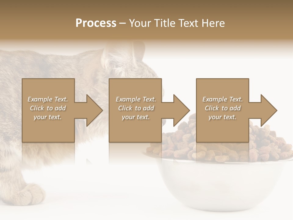 Cat Fur Food PowerPoint Template