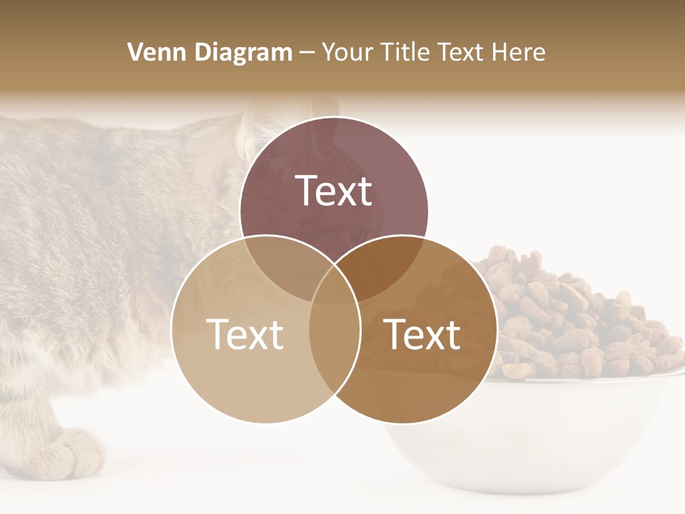 Cat Fur Food PowerPoint Template