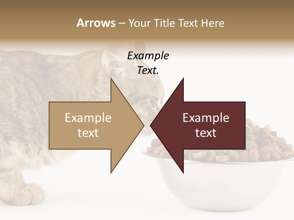 Cat Fur Food PowerPoint Template